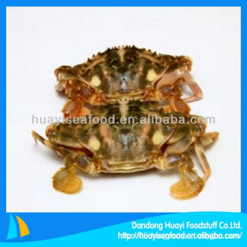 New season frozen mud crab